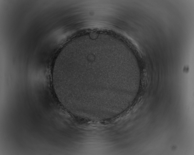 X0000102830918200809021310