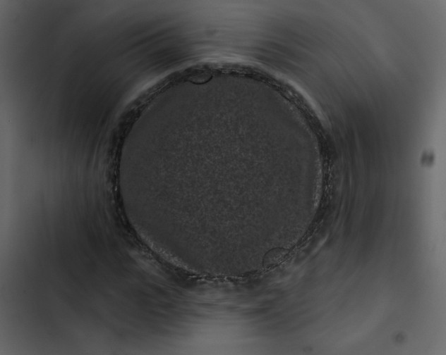 X0000102830919200809021310