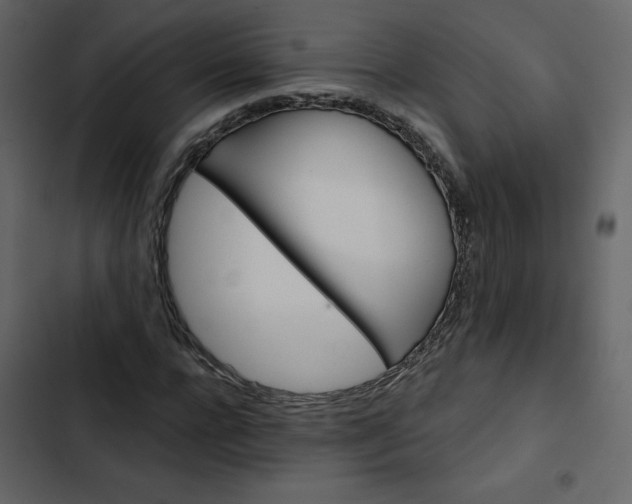 X0000102830920200809021310