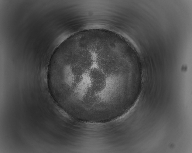 X0000102830921200809021310