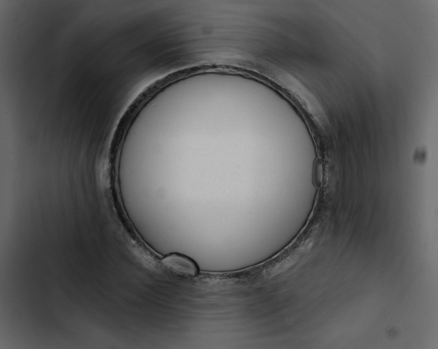 X0000102830924200809021310