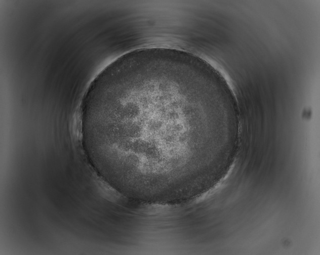 X0000102830925200809021310