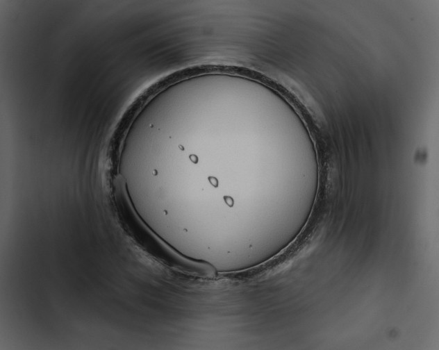 X0000102830926200809021310