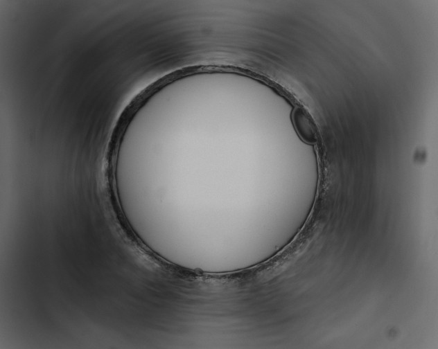 X0000102830928200809021310