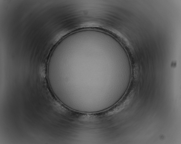 X0000102830929200809021310