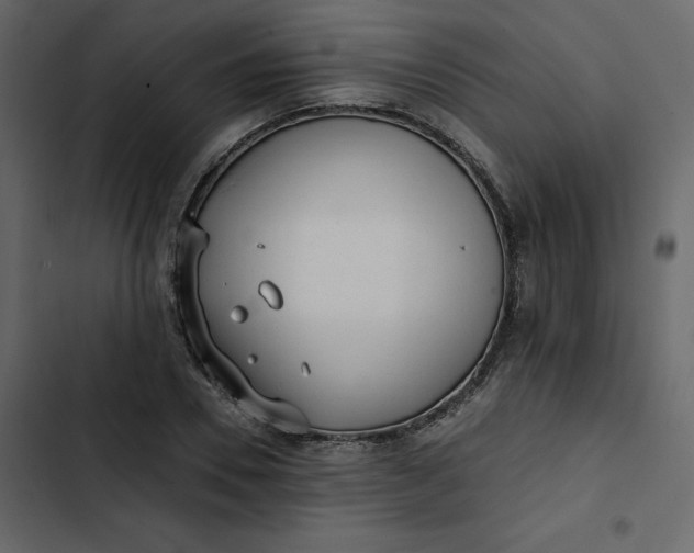 X0000102830930200809021310