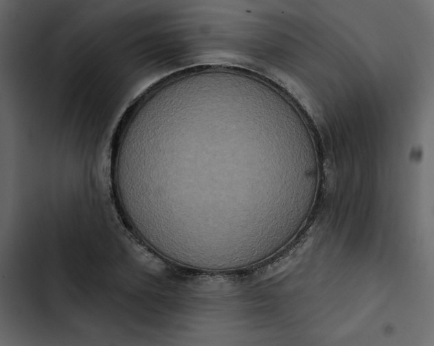 X0000102830931200809021310