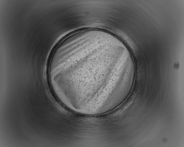 X0000102830932200809021310