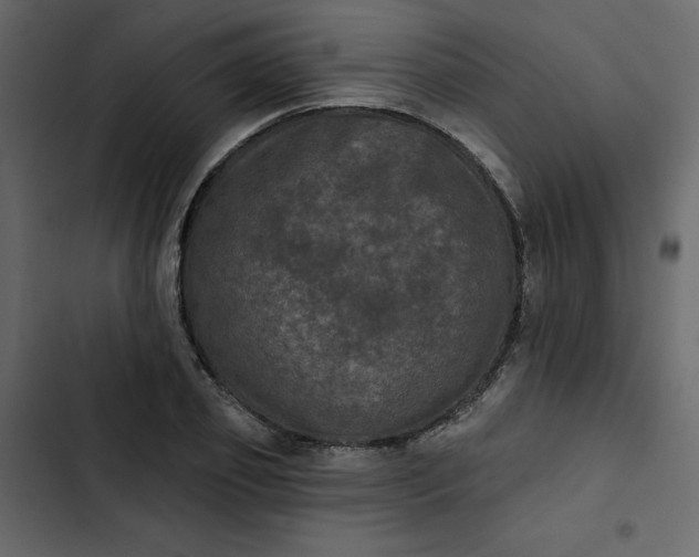 X0000102830933200809021310