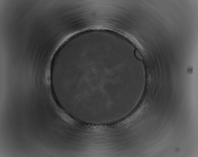 X0000102830934200809021310