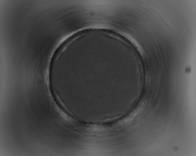 X0000102830935200809021310