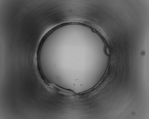 X0000102830936200809021310