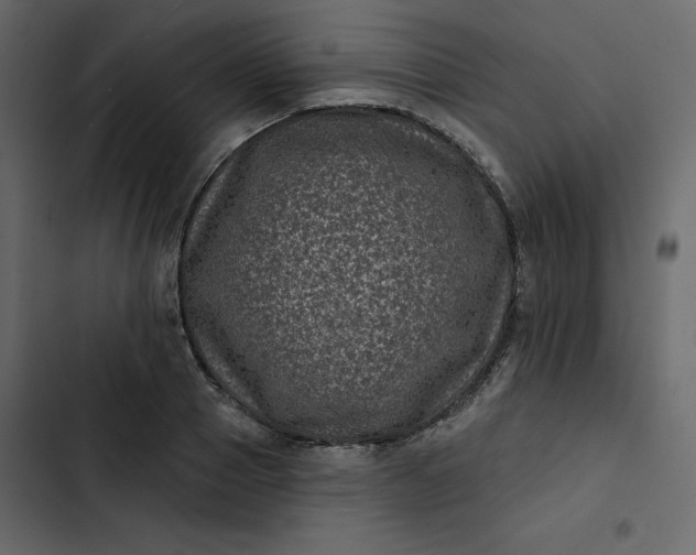 X0000102830937200809021310