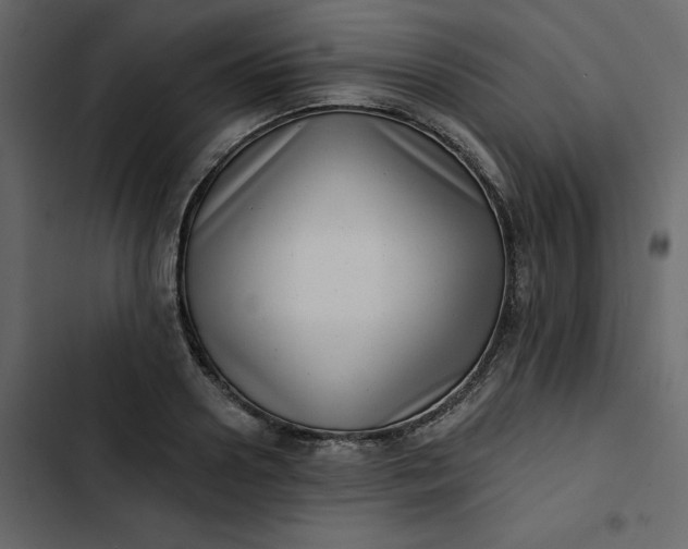 X0000102830938200809021310