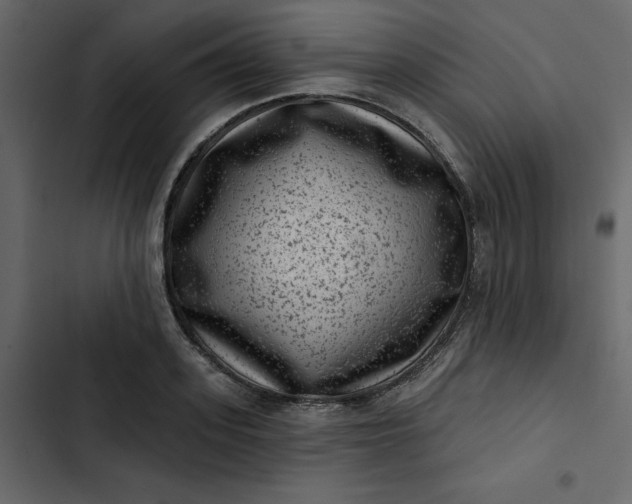 X0000102830939200809021310