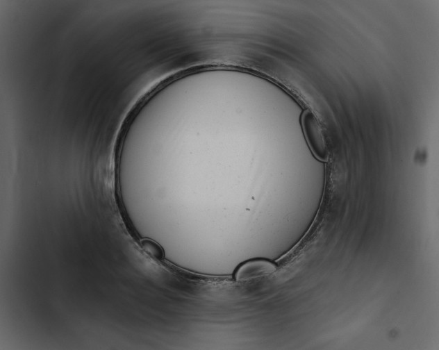 X0000102830940200809021310