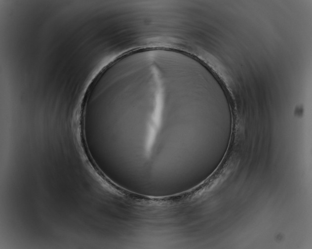 X0000102830941200809021310