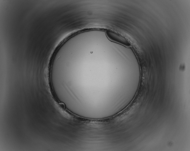 X0000102830942200809021310