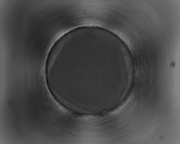 X0000102830943200809021310