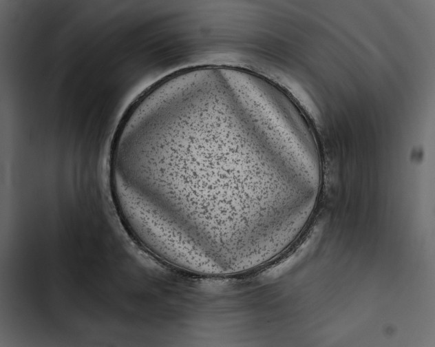 X0000102830944200809021310