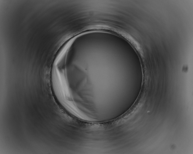 X0000102830945200809021310