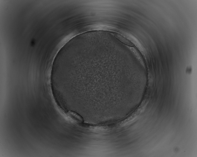 X0000102830946200809021310