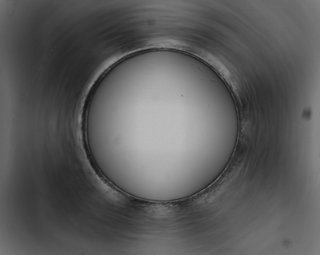 X0000102830947200809021310