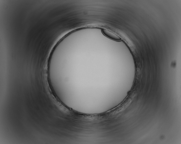 X0000102830948200809021310