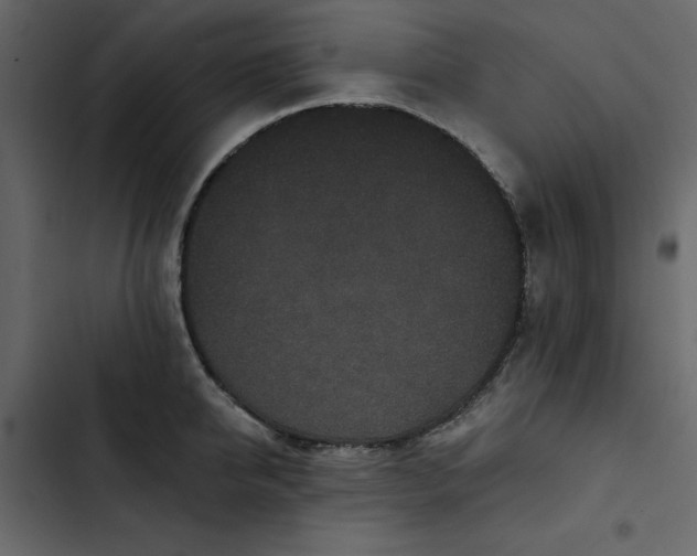 X0000102830950200809021310