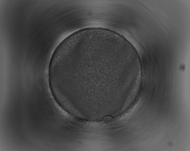 X0000102830951200809021310