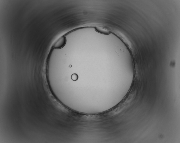 X0000102830952200809021310