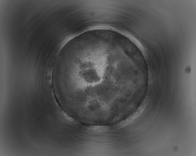 X0000102830953200809021310