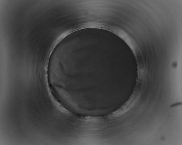 X0000102830954200809021310