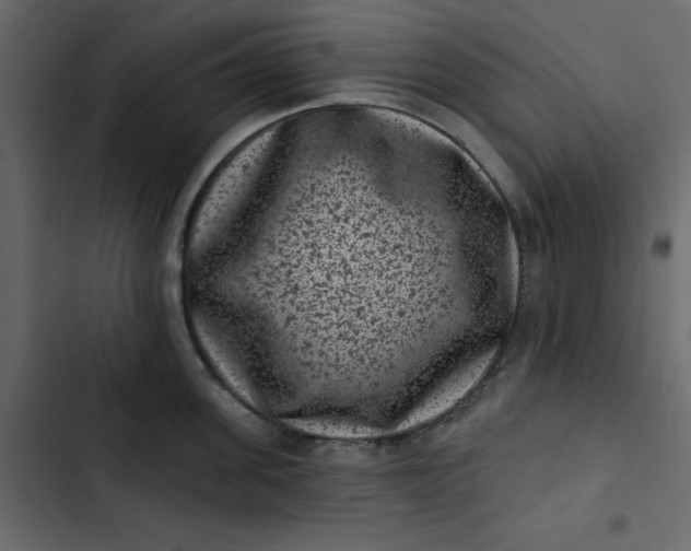 X0000102830955200809021310