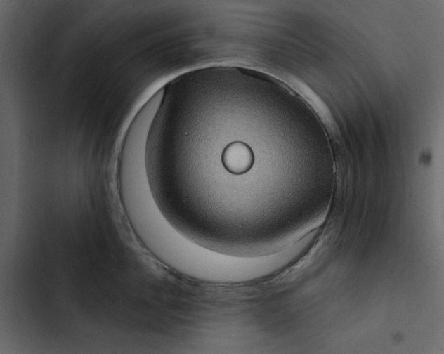 X0000102830956200809021310