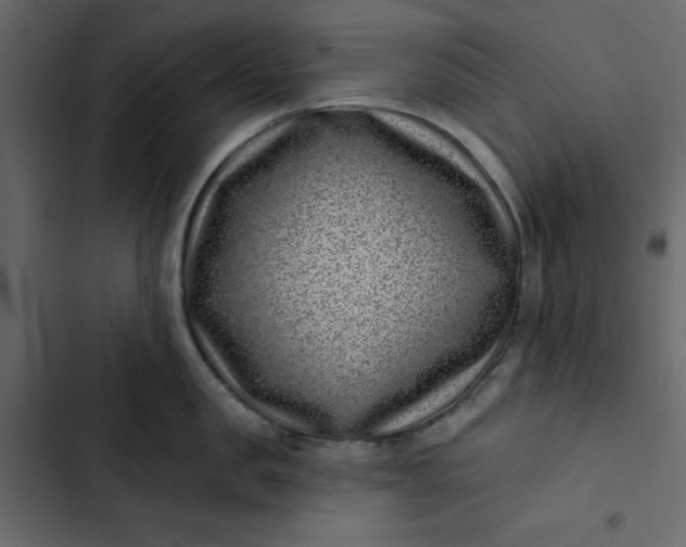 X0000102830957200809021310