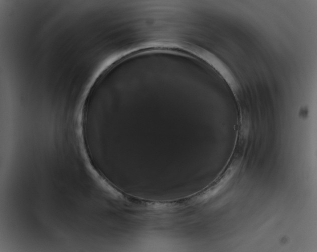 X0000102830958200809021311