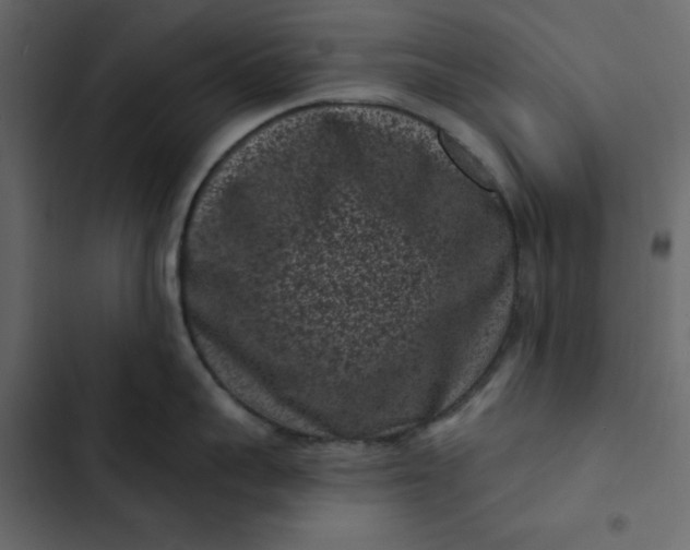 X0000102830959200809021311