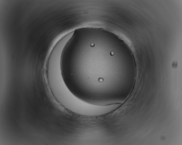 X0000102830960200809021311