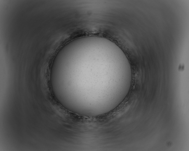 X0000102830961200809021310