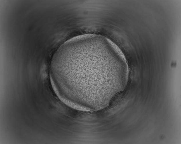 X0000102830962200809021310