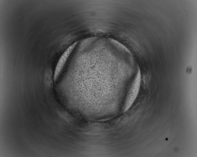 X0000102830963200809021310