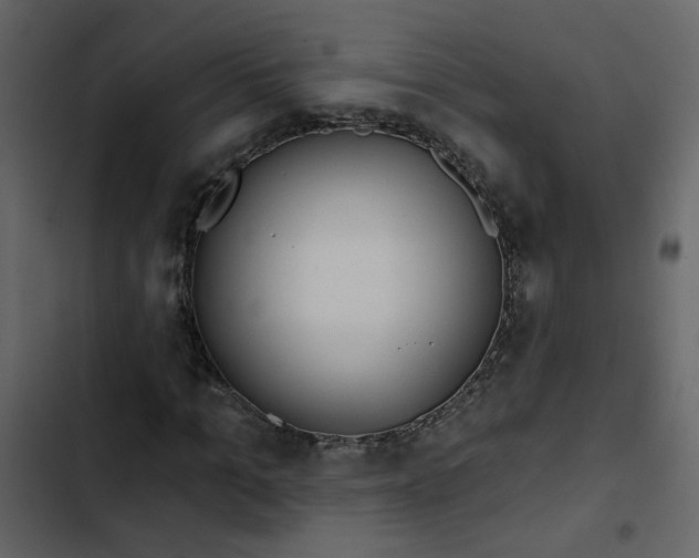 X0000102830965200809021310