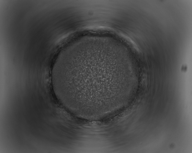 X0000102830966200809021310