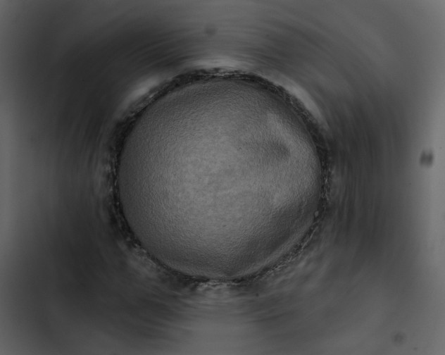 X0000102830967200809021310