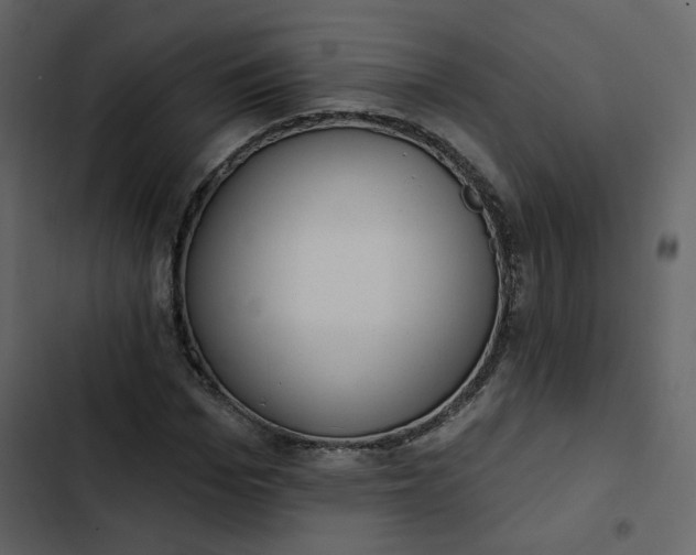 X0000102830969200809021310