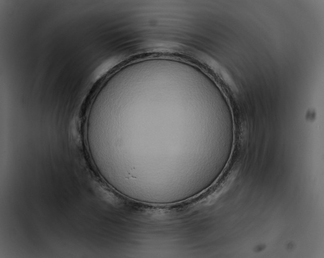 X0000102830970200809021310