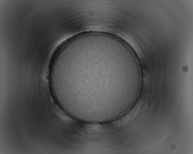 X0000102830971200809021310