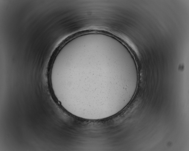 X0000102830972200809021310