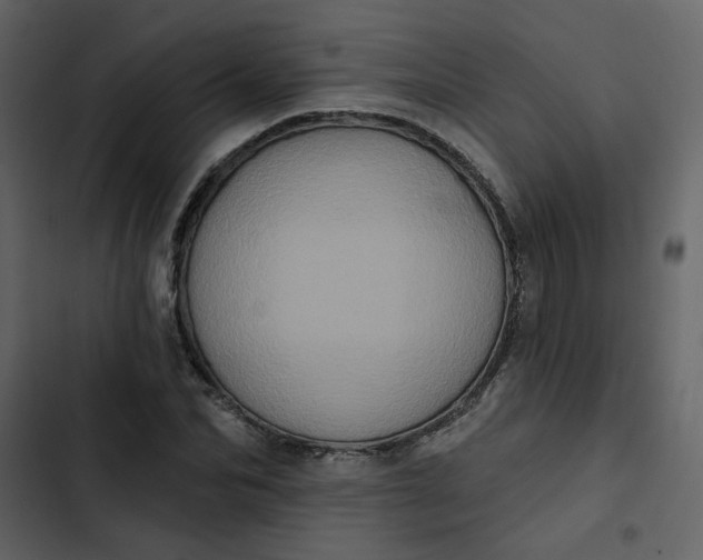 X0000102830974200809021310